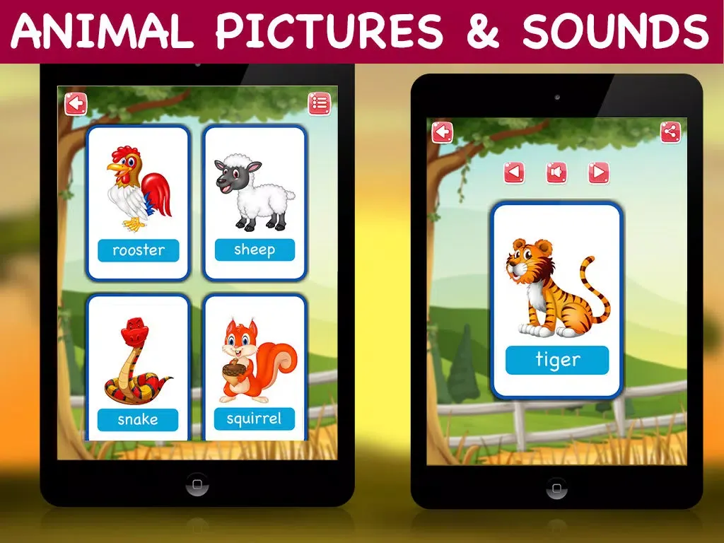 Animals Flash Cards - Educational Animal Games iPad 应用截图