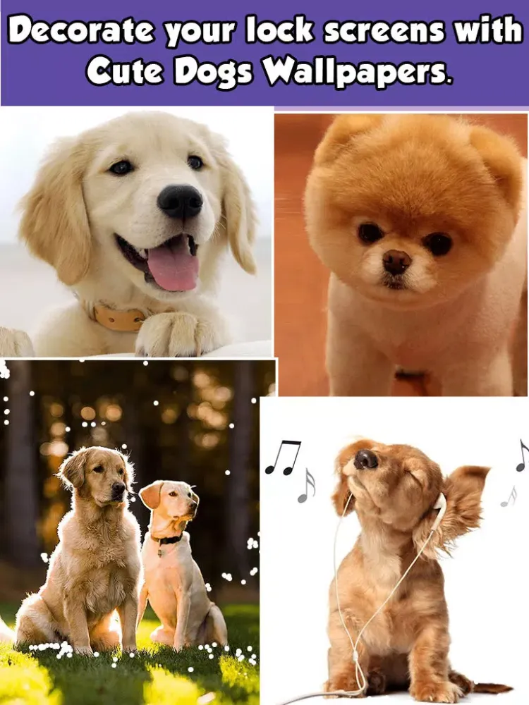 Dog Wallpapers & Backgrounds HD Free iPad  Screenshots
