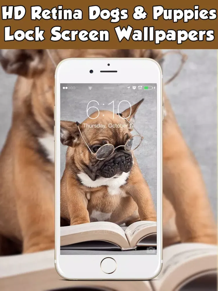 Dog Wallpapers & Backgrounds HD Free iPad  Screenshots