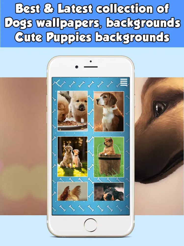 Dog Wallpapers & Backgrounds HD Free iPad  Screenshots