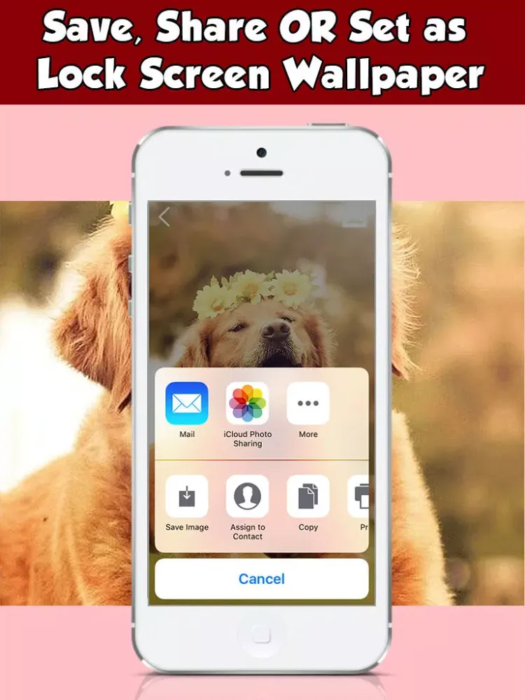 Dog Wallpapers & Backgrounds HD Free iPad  Screenshots
