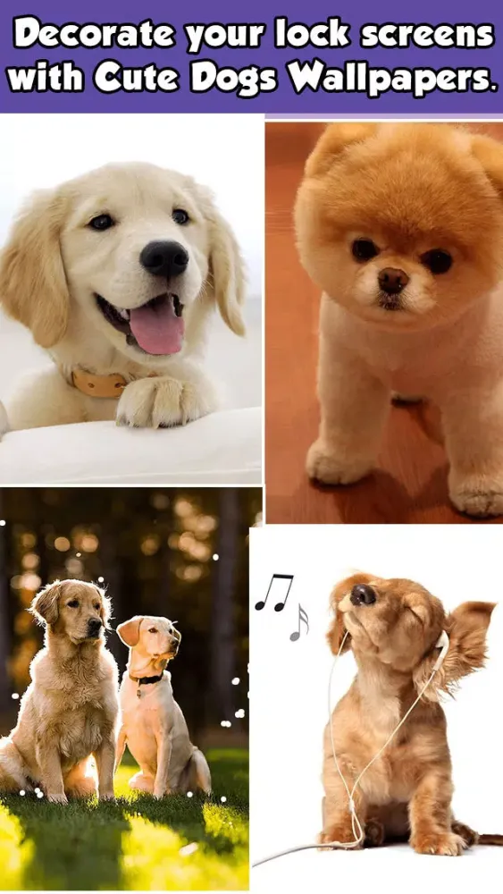 Dog Wallpapers & Backgrounds HD Free Screenshots