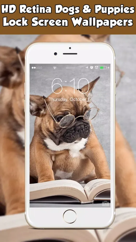 Dog Wallpapers & Backgrounds HD Free Screenshots