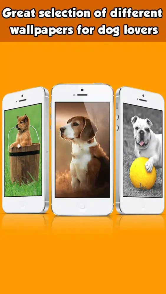 Dog Wallpapers & Backgrounds HD Free Screenshots