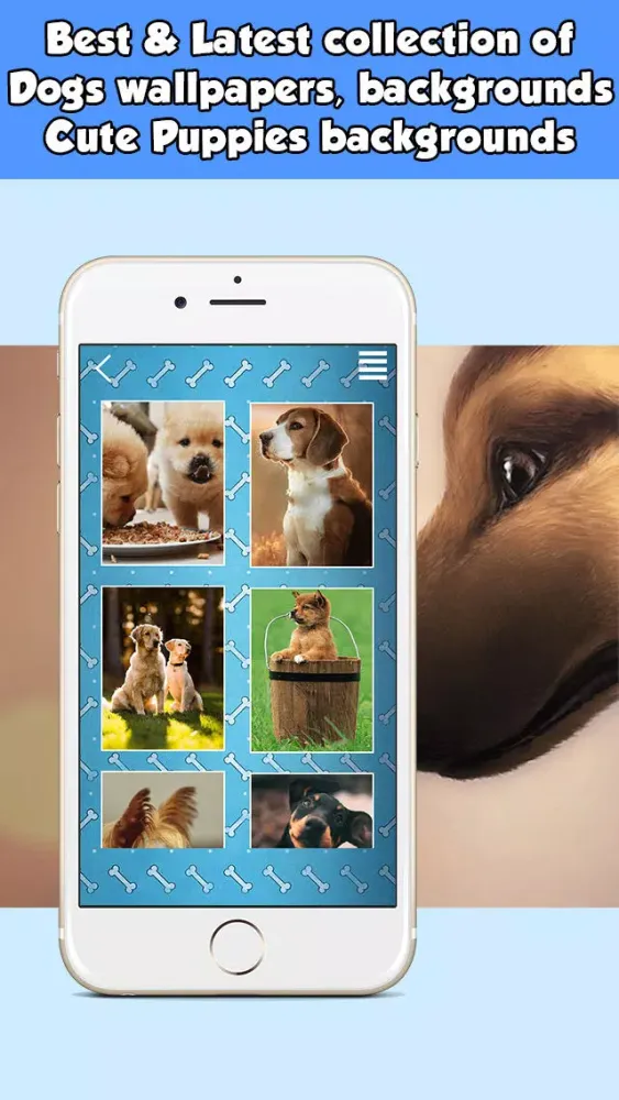 Dog Wallpapers & Backgrounds HD Free Screenshots