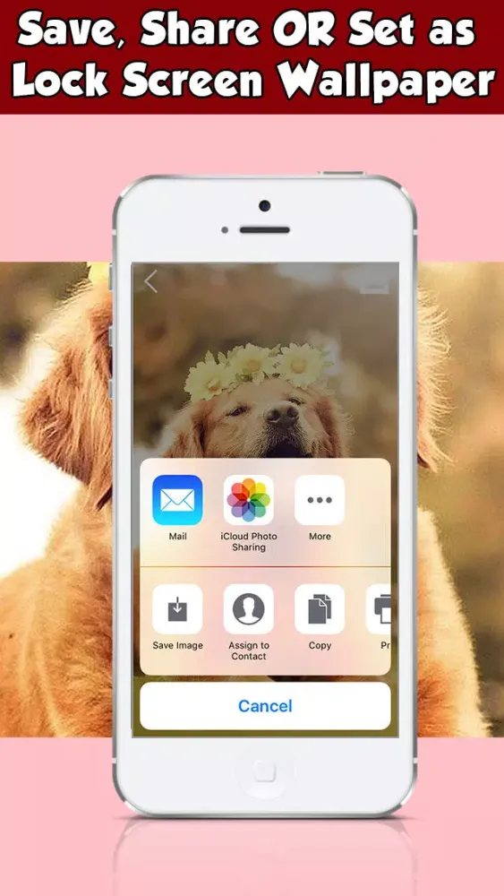 Dog Wallpapers & Backgrounds HD Free Screenshots