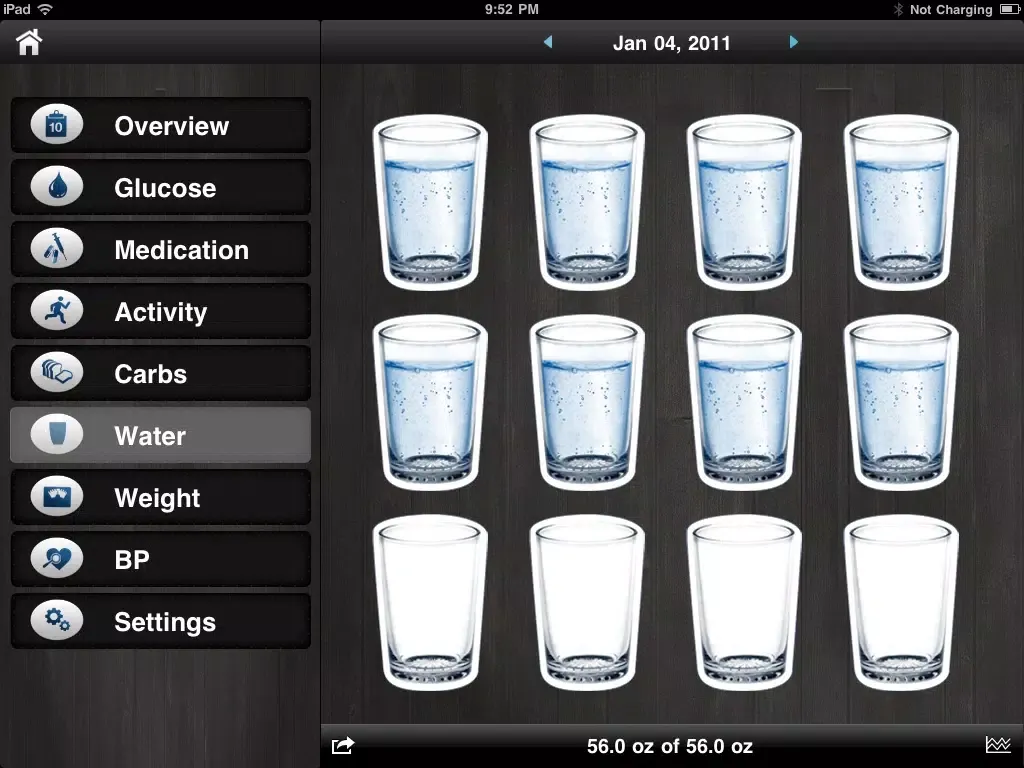 صور Diabetes App - blood sugar control, glucose tracker and carb counter iPad 