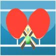 Table Tennis MultiPlayer