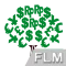 DCT FLM