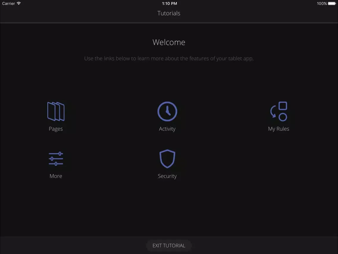 Скриншоты BHN Home Security iPad 