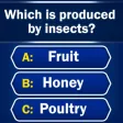 Trivia - Quiz Games