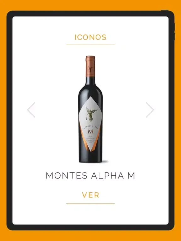 Montes Manager iPad  스크린샷