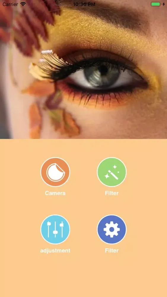 Capturas de tela do Bian Picture