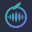 Data Workshop— AI Data Crowdso