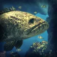 Depth Hunter 2: Deep Dive Depth Hunter 2: Deep Dive
