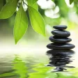 Tao Te Ching - Lao Tzu In French