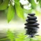 Tao Te Ching - Lao Tzu In French