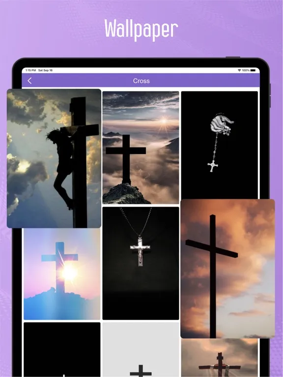Скриншоты Latin Bible Reading Plans iPad 
