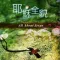 耶稣全貌