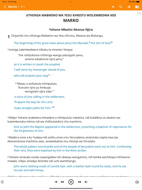 Chichewa Bible iPad 应用截图