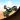 Monkey Hill Racing