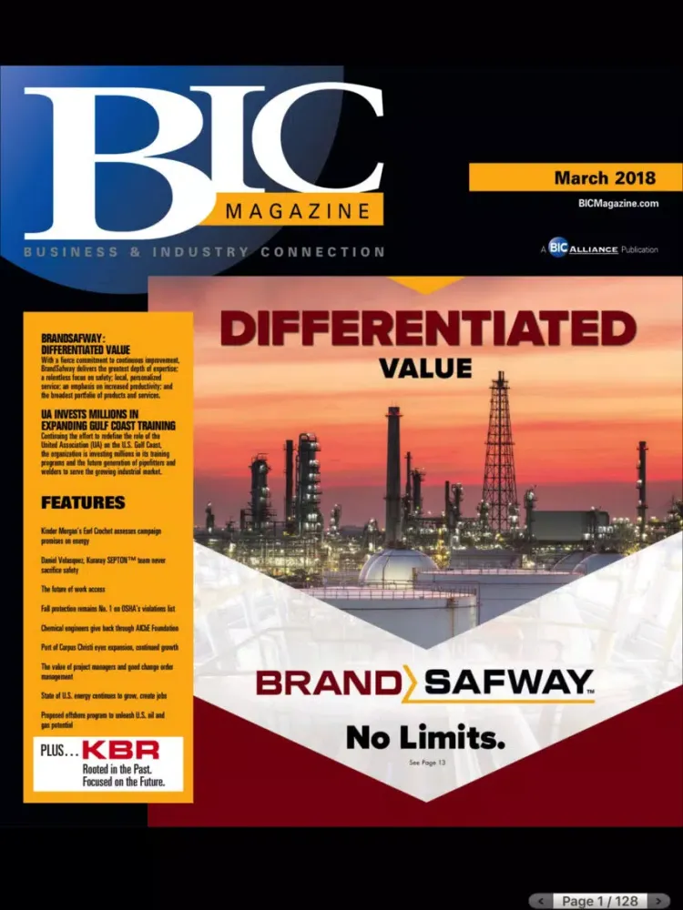 Screenshot di BIC Digital Magazine iPad 
