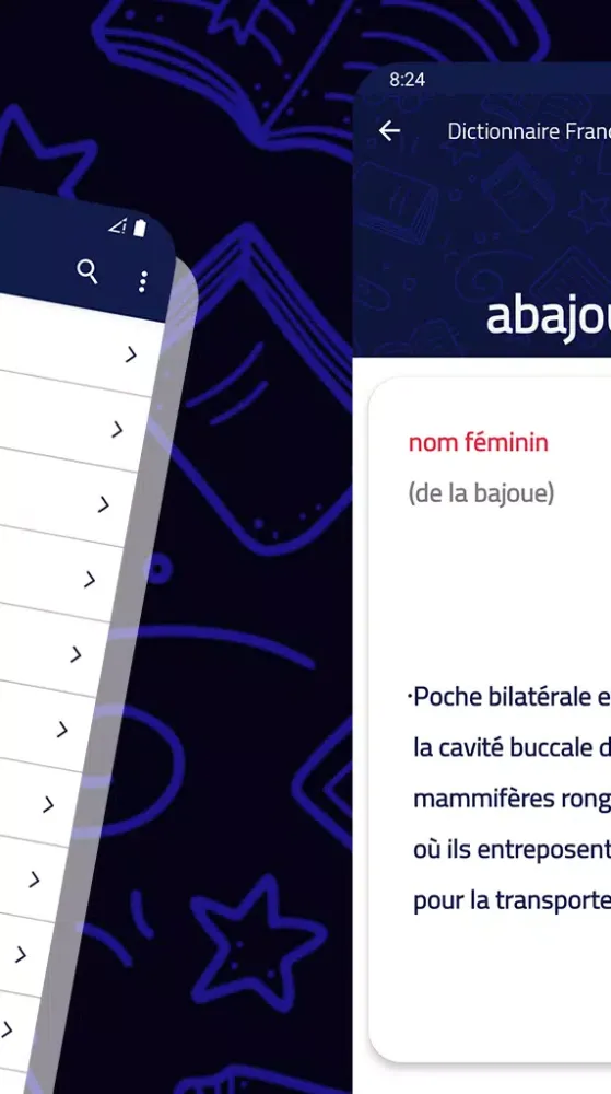 Dictionnaire Francais应用截图
