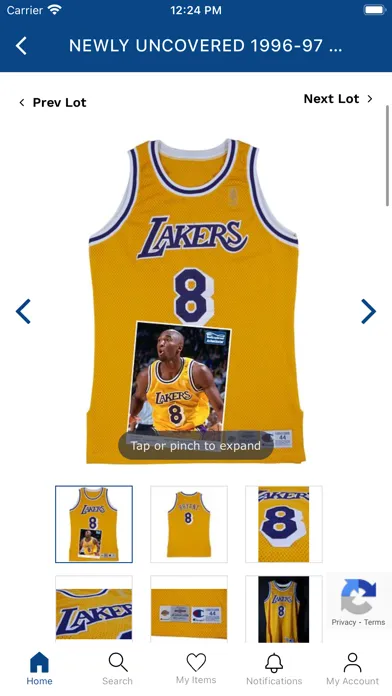 Capturas de pantalla de SCP Auctions