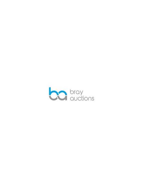 Ảnh chụp màn hình của Bray Auctions iPad 