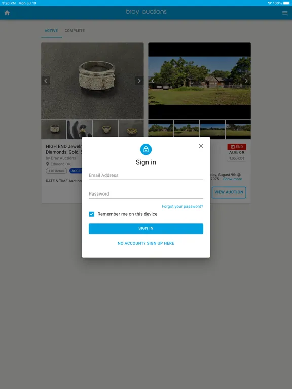 Ảnh chụp màn hình của Bray Auctions iPad 