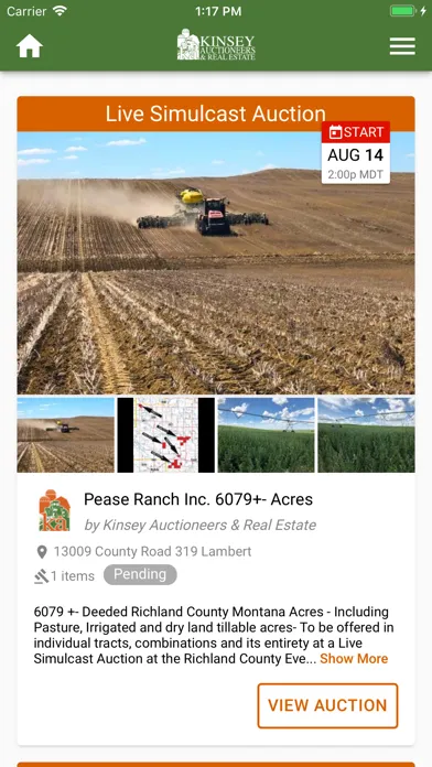 Capturas de pantalla de Kinsey Auction