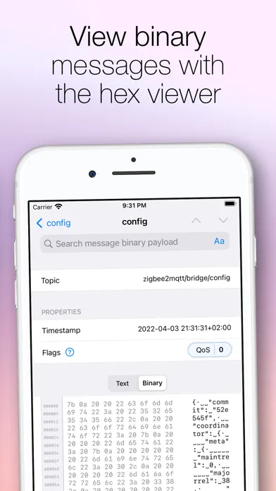 MQTT Loupe سکرین شاٹس