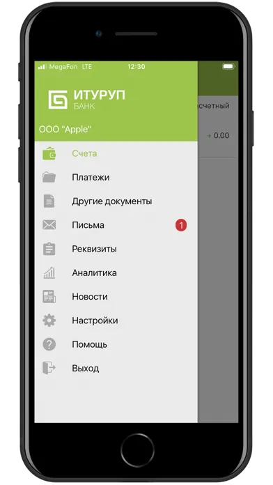 Capturas de pantalla de ИТУРУП Дело
