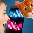 Cat Translator Real Sim