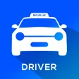 BigBlue-Driver BigBlue-Driver
