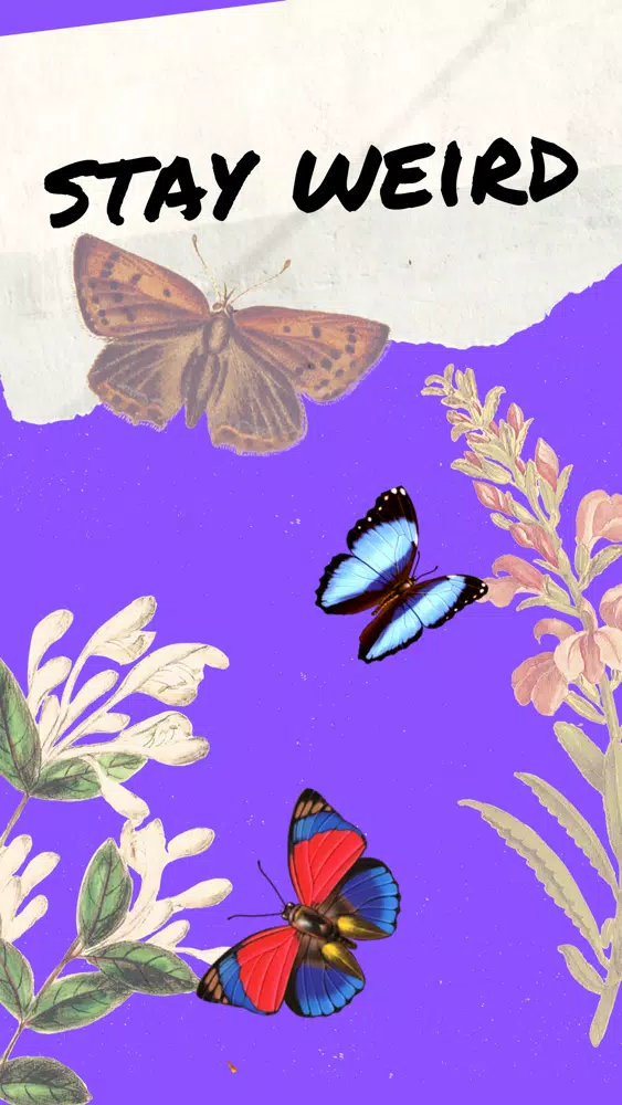 Tangkapan skrin Butterfly Pack