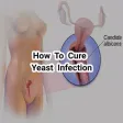 How To Cure Yeast Infection How To Cure Yeast Infection