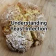 About Yeast Infection About Yeast Infection