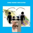 Family Budget Demystified+
