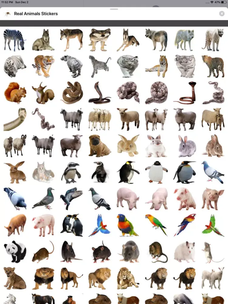 ภาพหน้าจอของ Real Animals Stickers iPad 