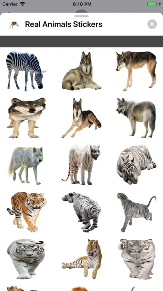 ภาพหน้าจอของ Real Animals Stickers