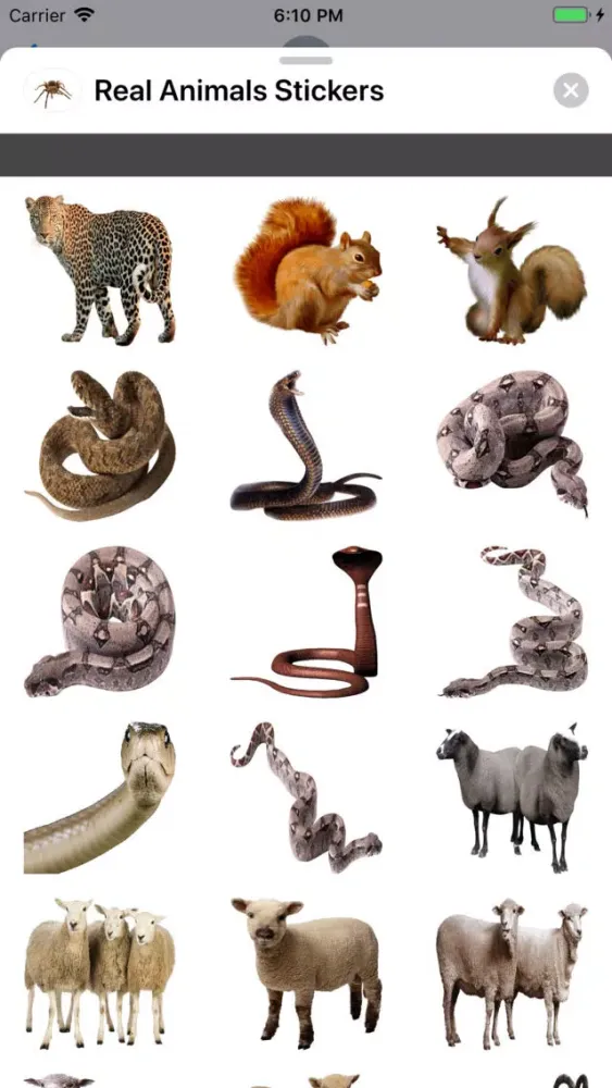 ภาพหน้าจอของ Real Animals Stickers