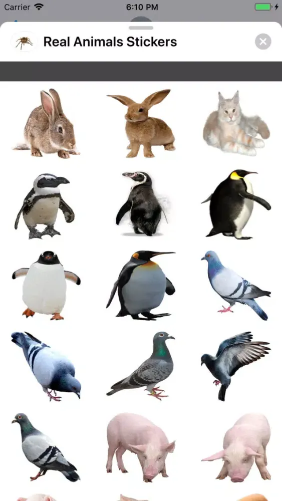 ภาพหน้าจอของ Real Animals Stickers