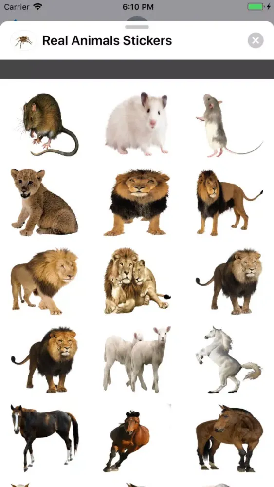 ภาพหน้าจอของ Real Animals Stickers