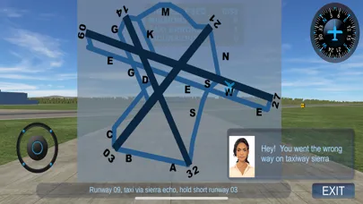 Скриншоты Taxiway Madness