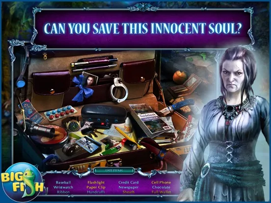 Captures d'écran de Mystery Tales: Eye of the Fire (Full) - Hidden iPad 