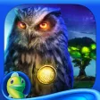 Reflections of Life: Tree of Dreams - Hidden Game Reflections of Life: Tree of Dreams - Hidden Game