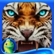 Surface: Reel Life - A Supernatural Hidden Object Mystery Surface: Reel Life - A Supernatural Hidden Object Mystery