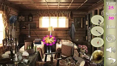 A Ericas Place Hinden Objects Screenshots