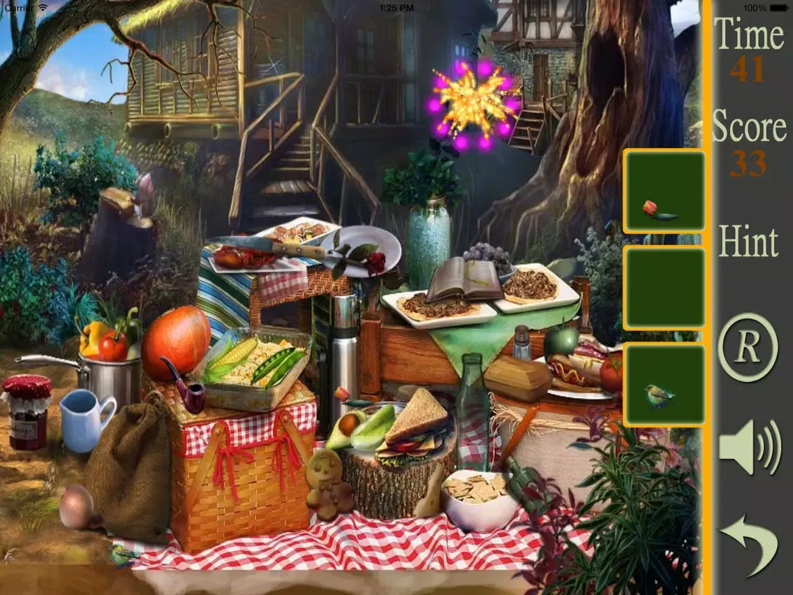 Hidden Objects A Picnic Weekend iPad  স্ক্রিনশট